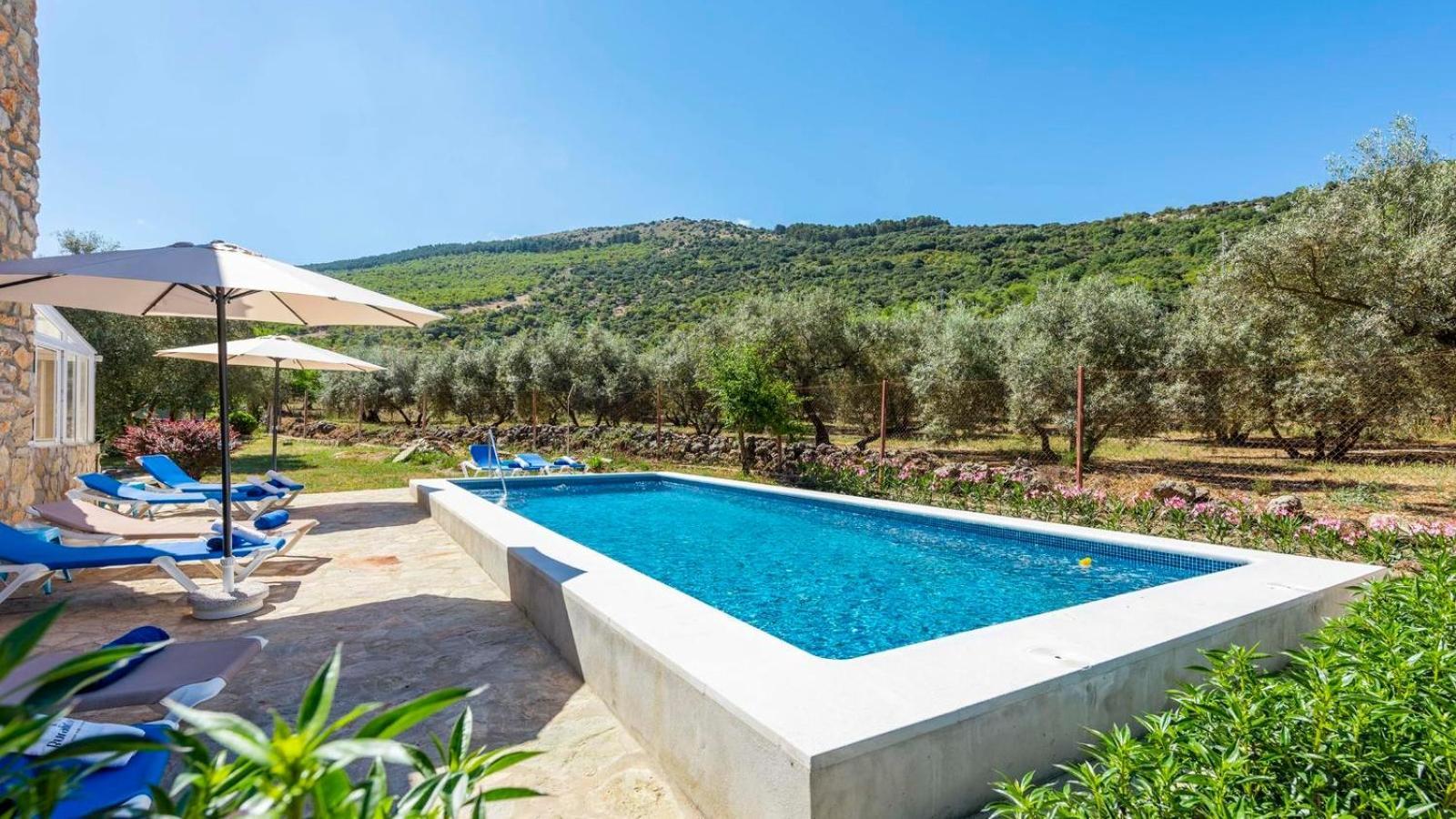 Alfarnatejo Casa Rural El Ciruelo Loco Alfarnate By Ruralidays מראה חיצוני תמונה